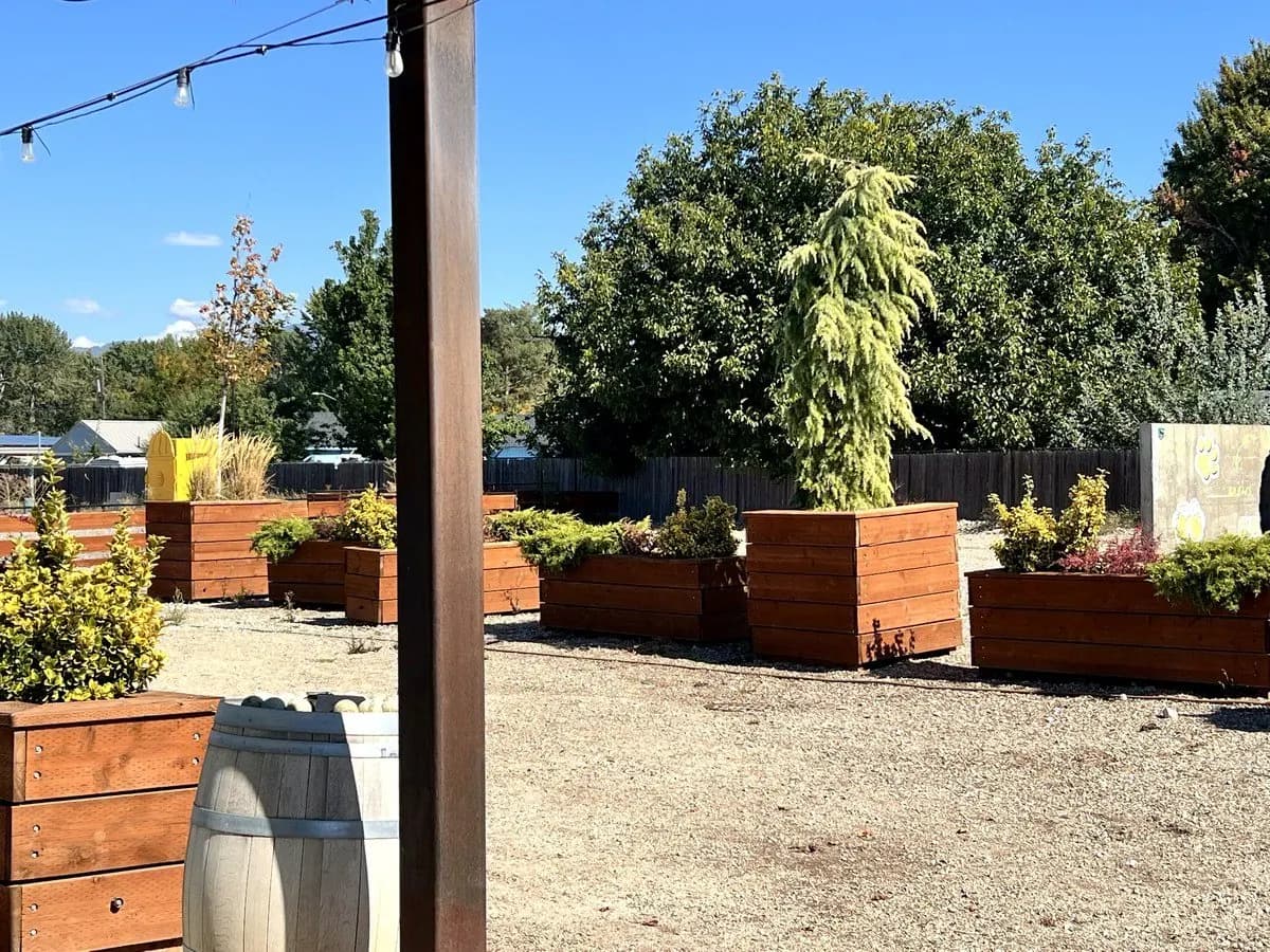 Planters and a barrel in the Yard